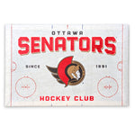 Ottawa Senators Rink Canvas Print