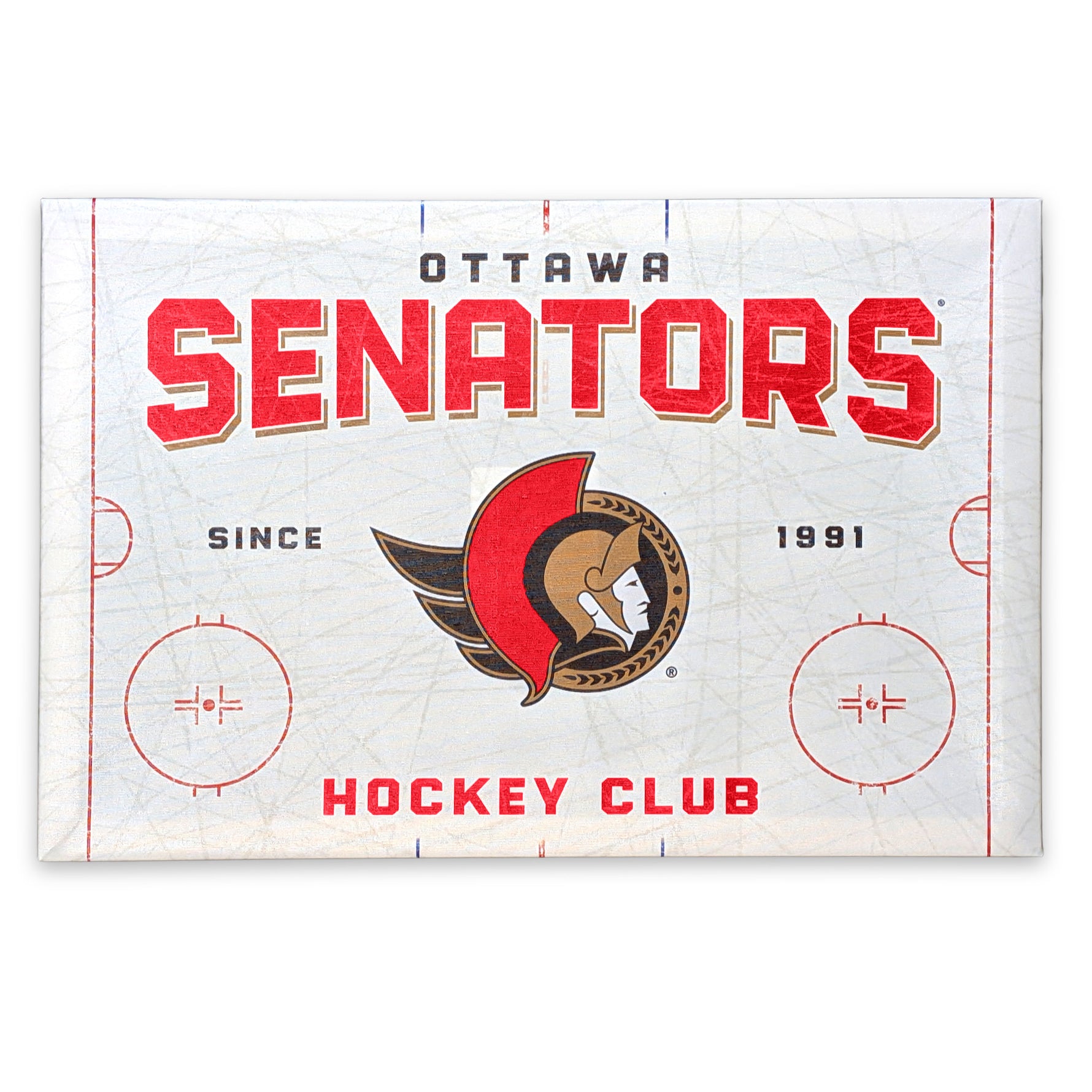 Ottawa Senators Rink Canvas Print