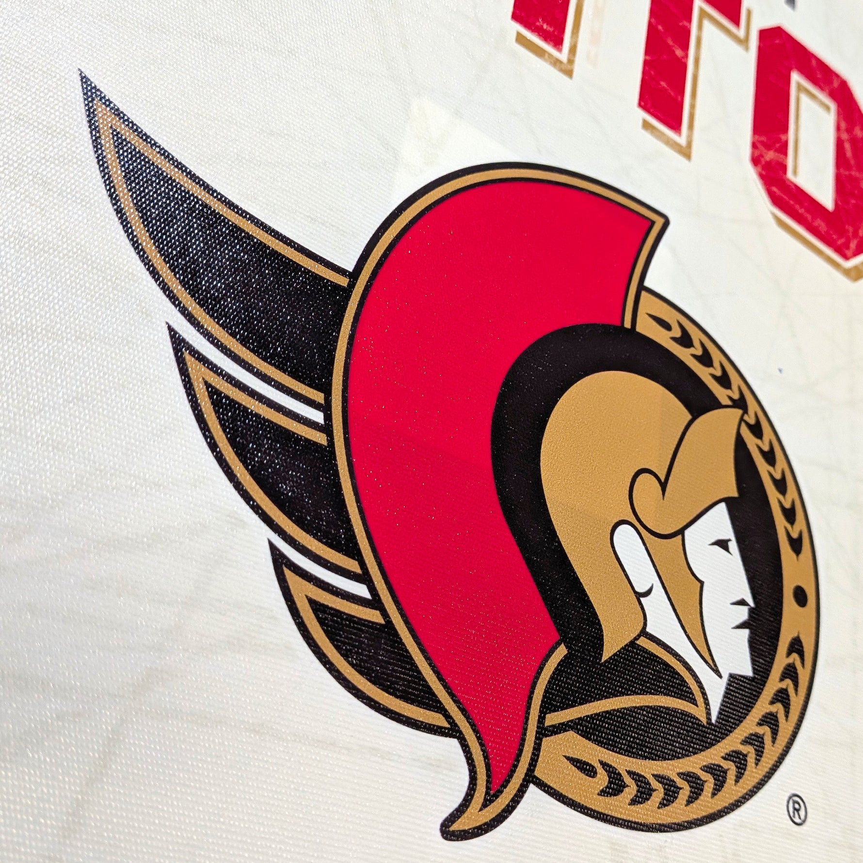 Ottawa Senators Rink Canvas Print