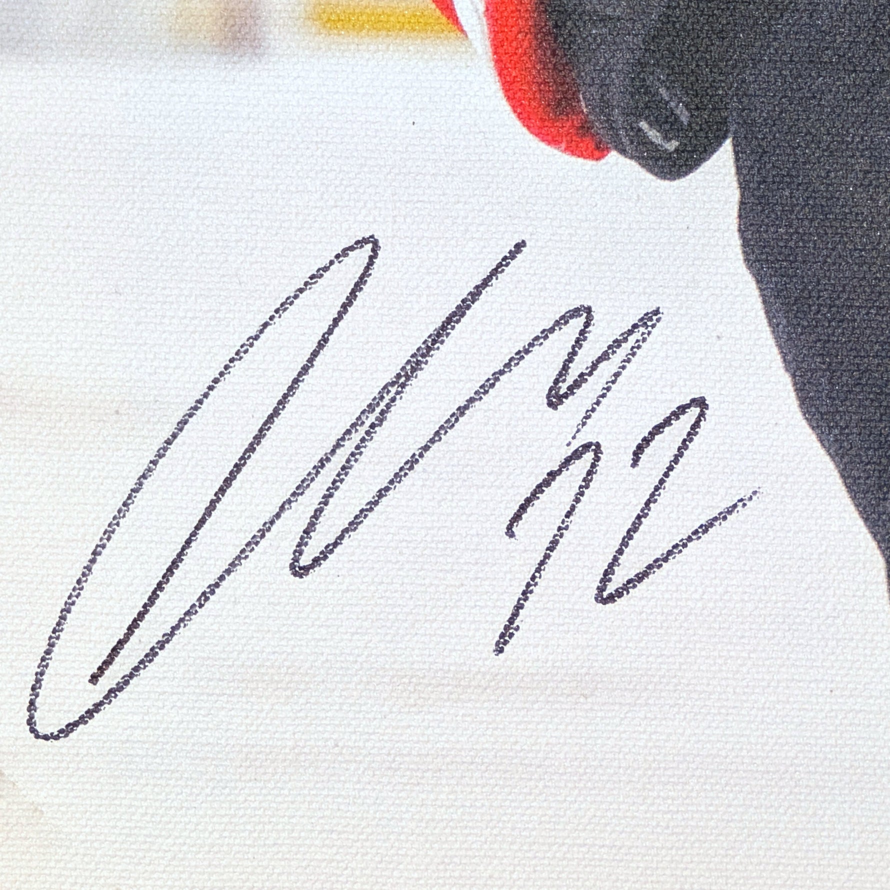 Thomas Chabot Signed Canvas 2023