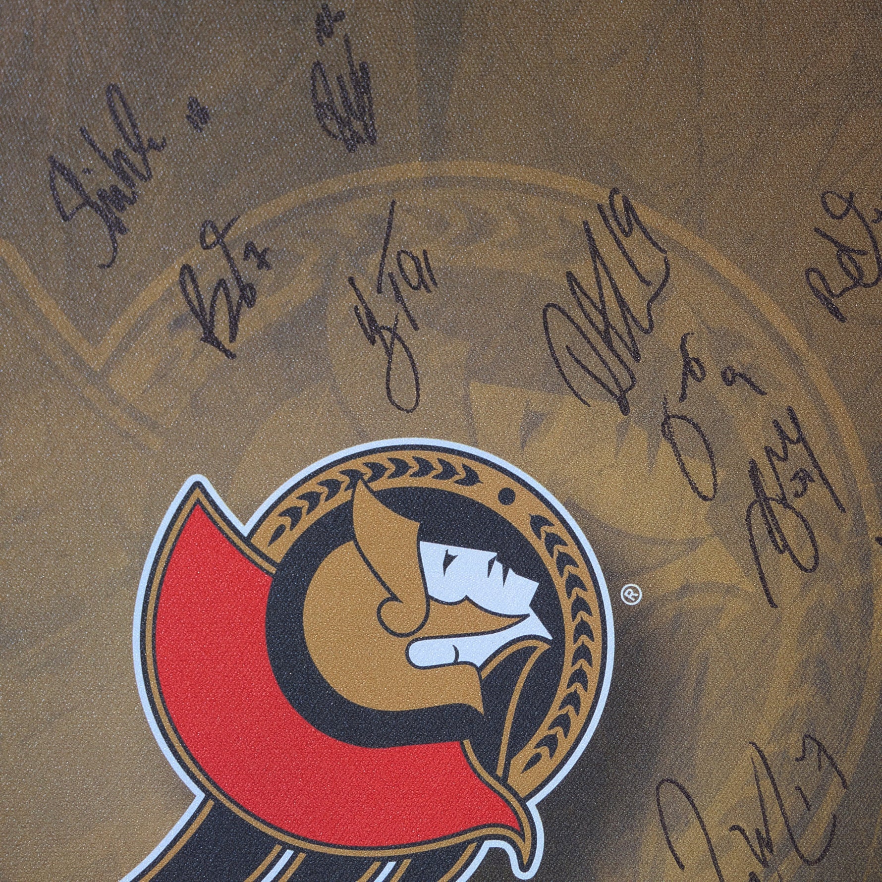 Ottawa Senators Autographed Logo Canvas Framed Print