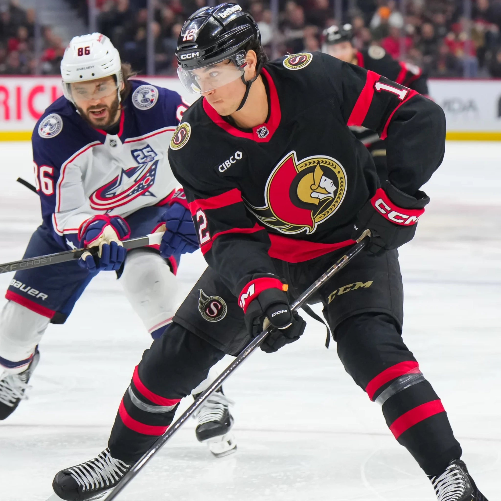 Shane Pinto Collection