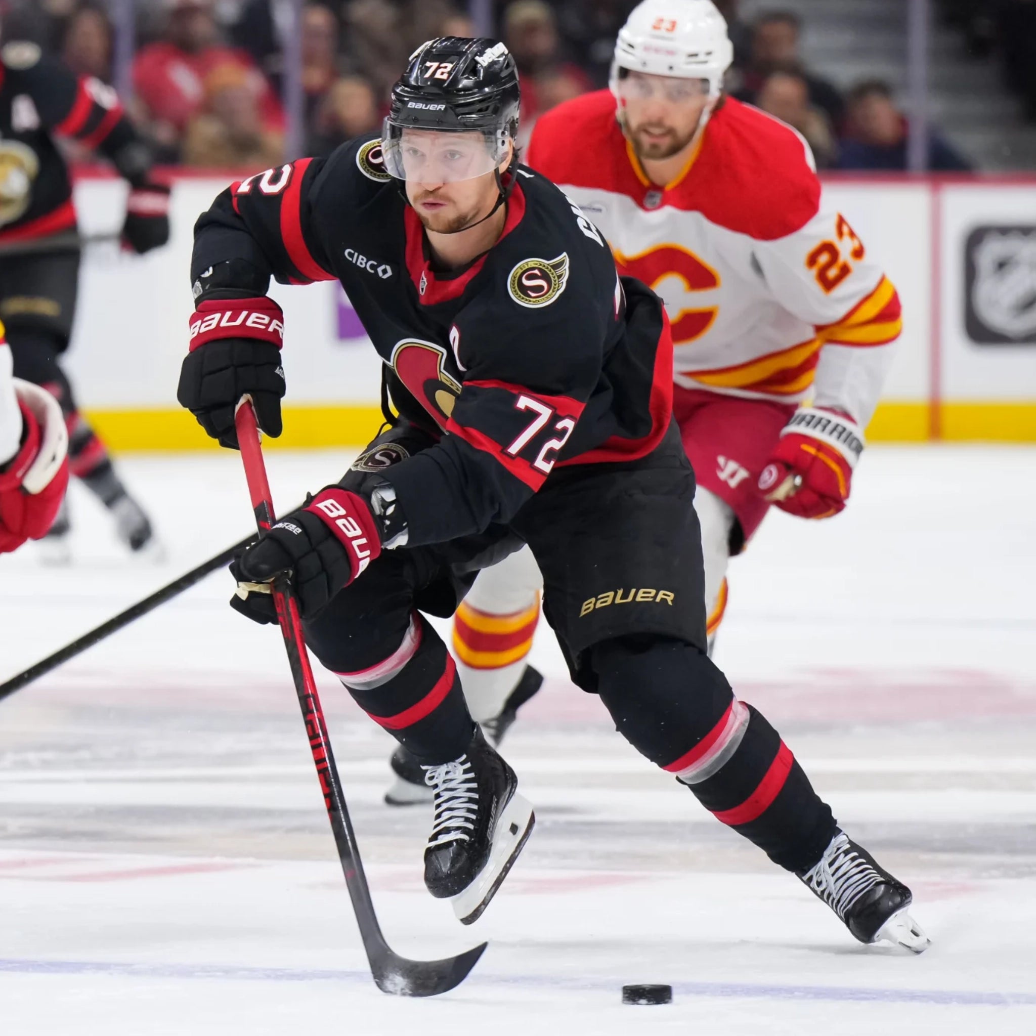 Thomas Chabot Collection