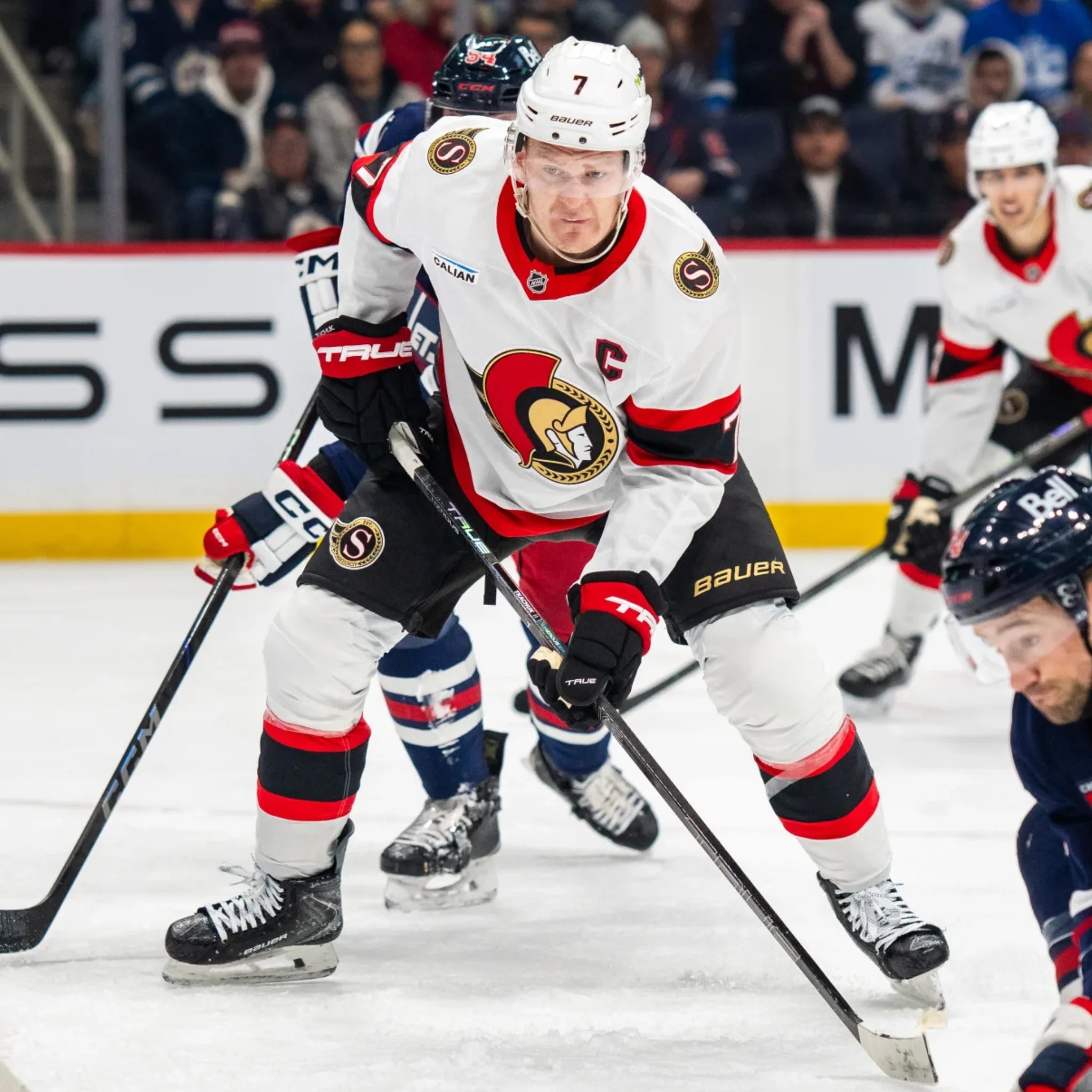 Brady Tkachuk Collection